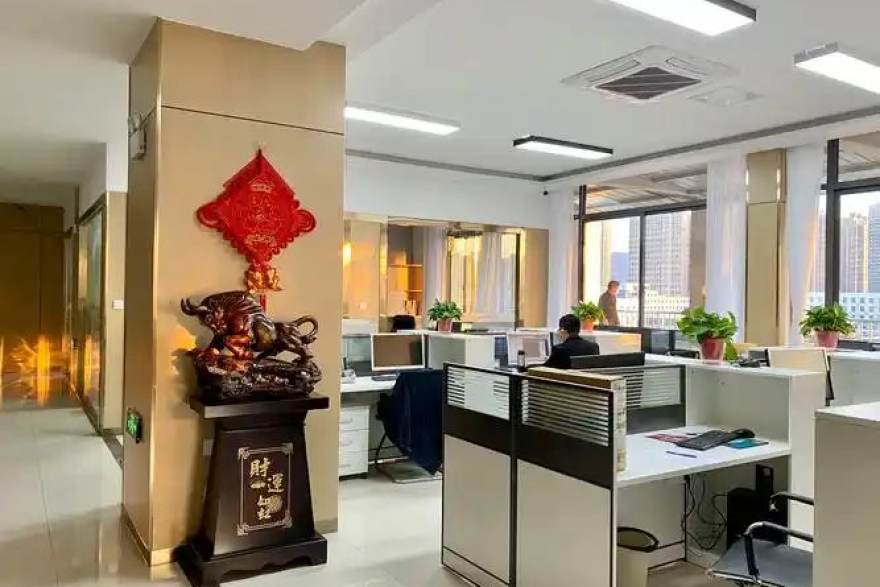 低调看球运营团队工作场景